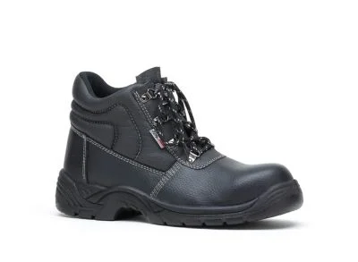 castorama-420261023032629500702